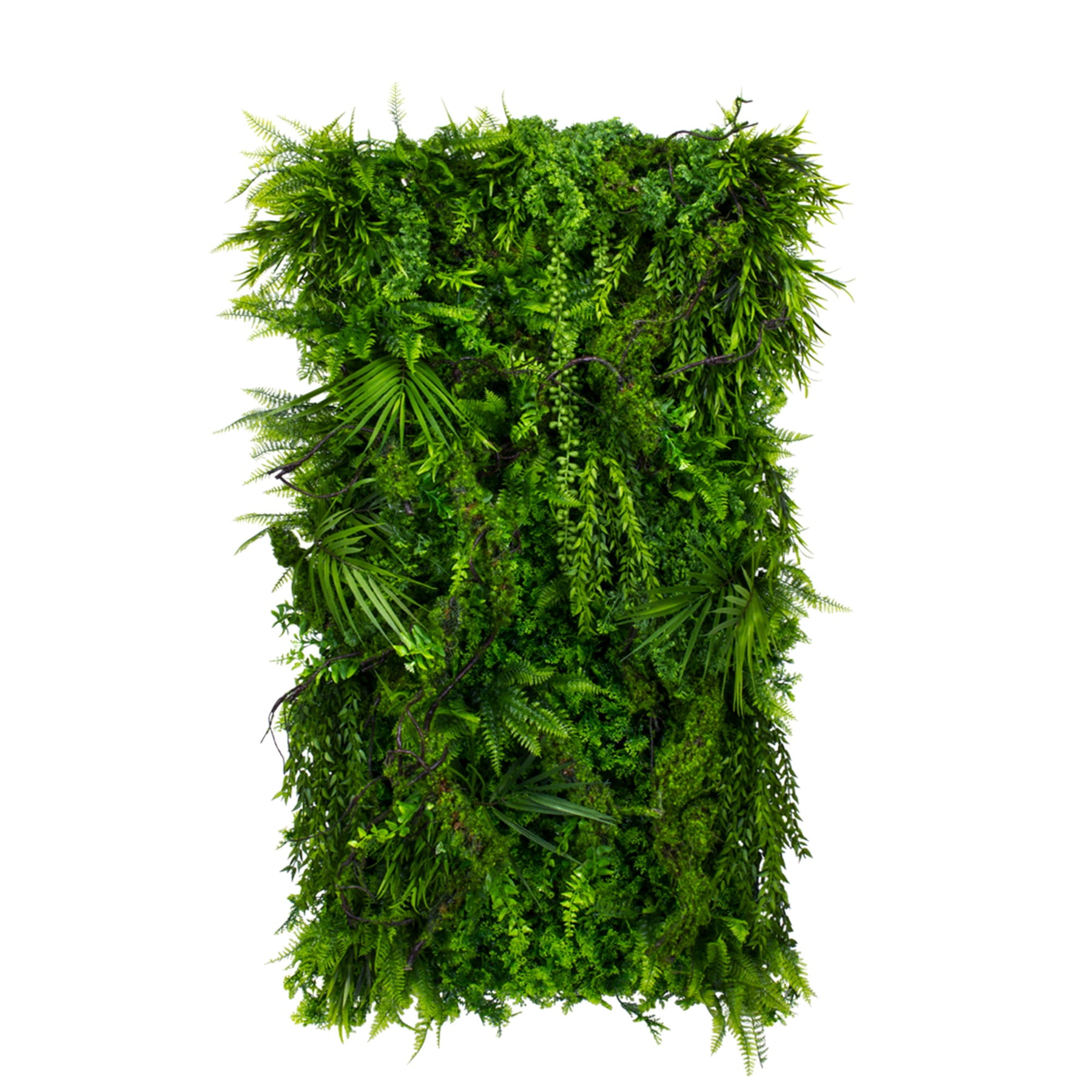 Vertical garden Tree Blossom