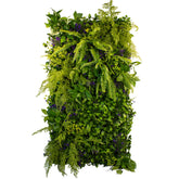 Vertical garden Mamba