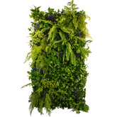 Vertical Garden Secret Garden