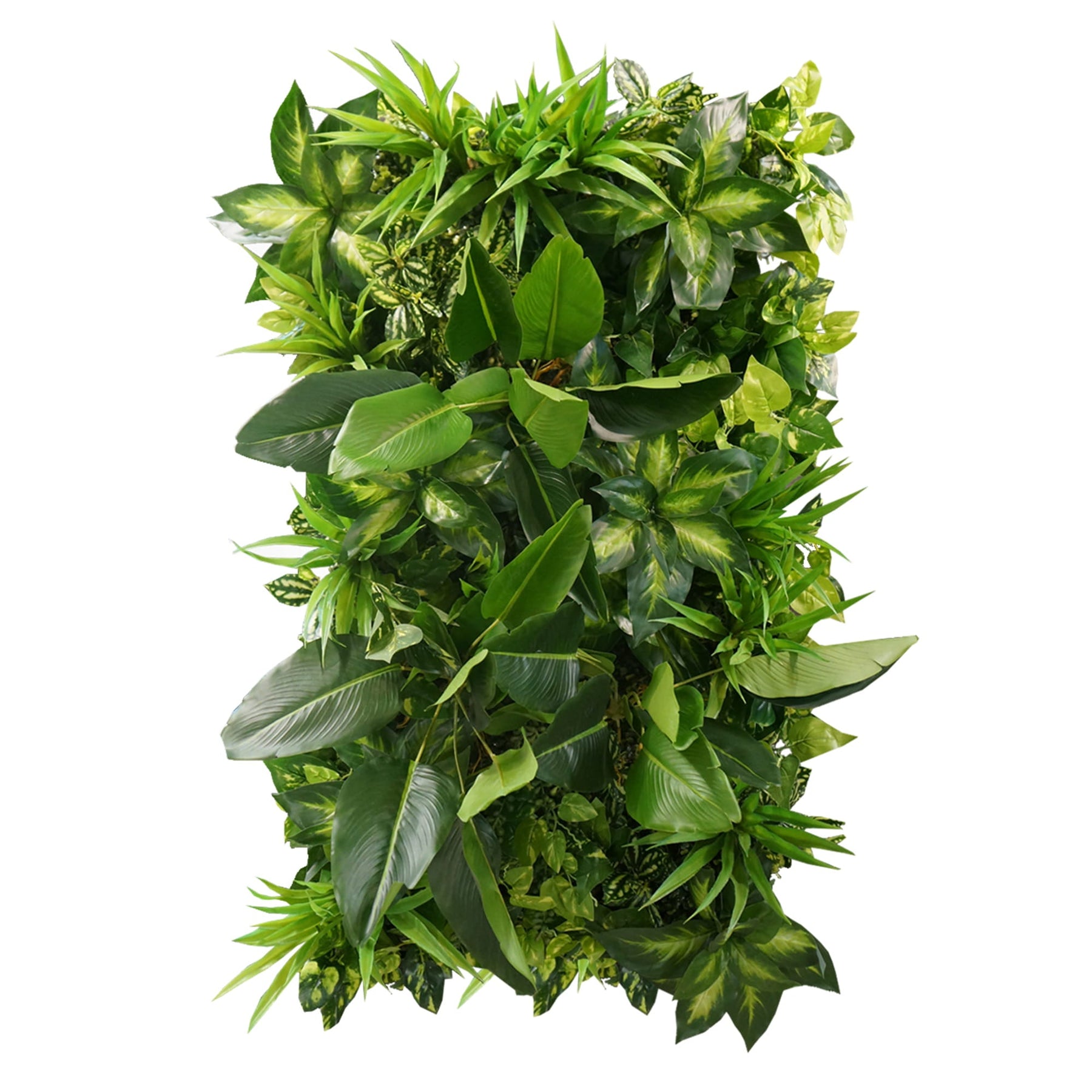 Vertical Garden Jamajka