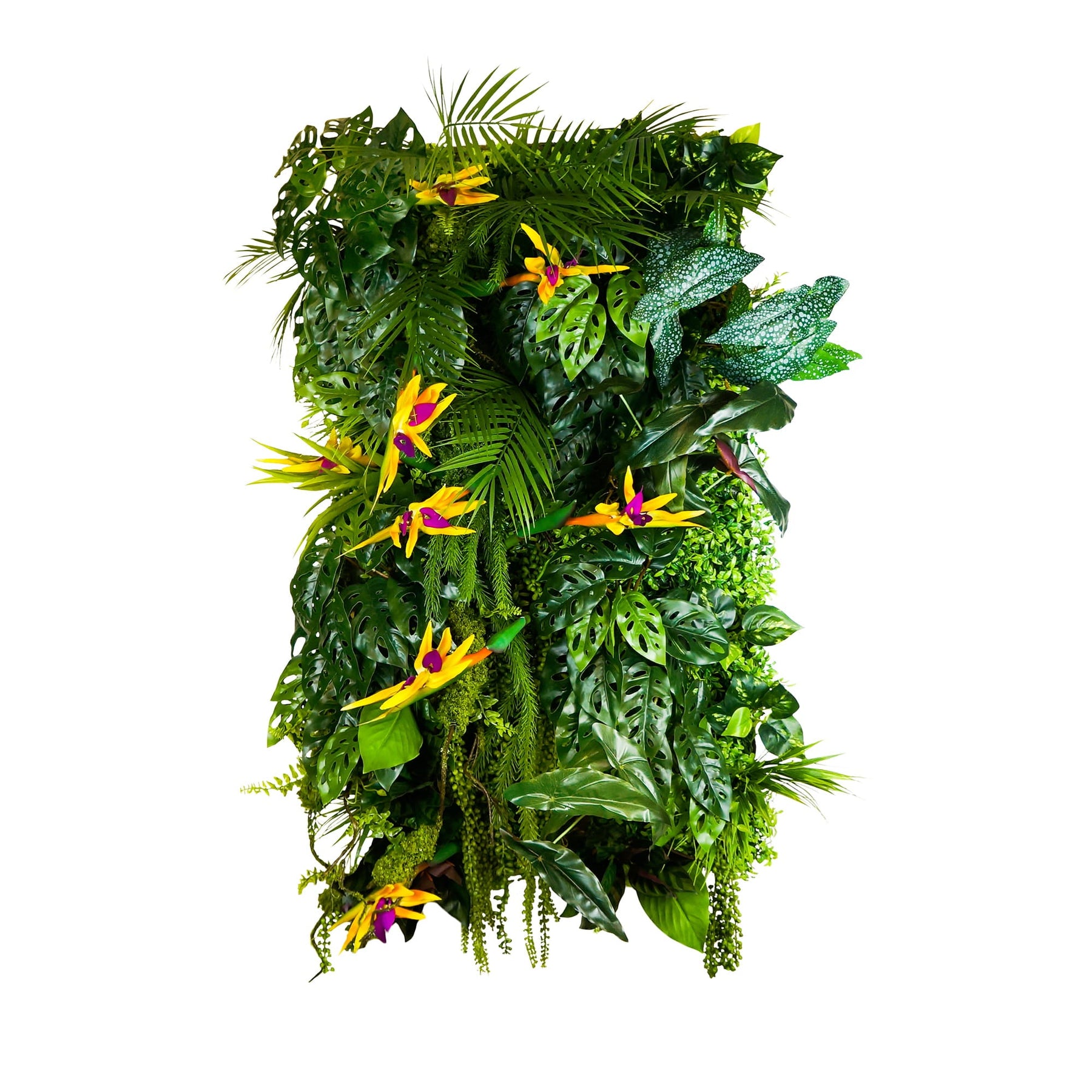 Vertical garden Grown Ivy