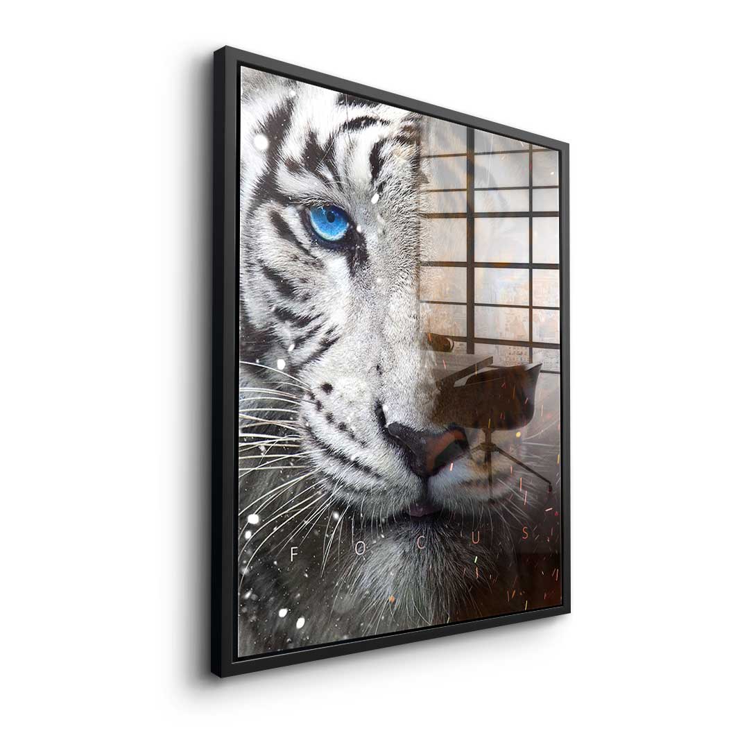 FOCUS FACE - acrylic glass