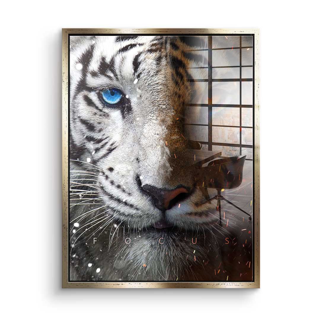 FOCUS FACE - acrylic glass