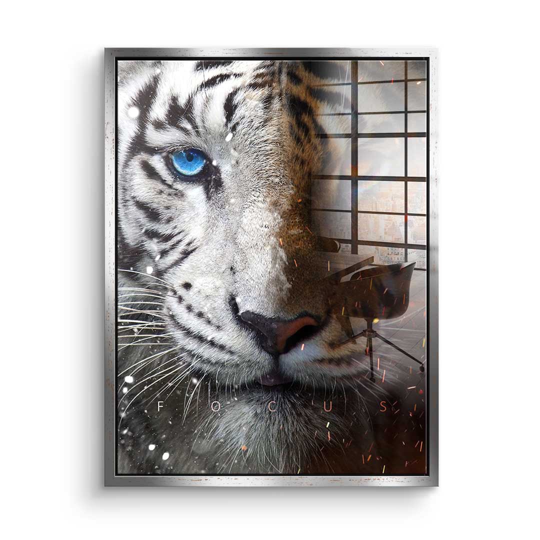 FOCUS FACE - acrylic glass