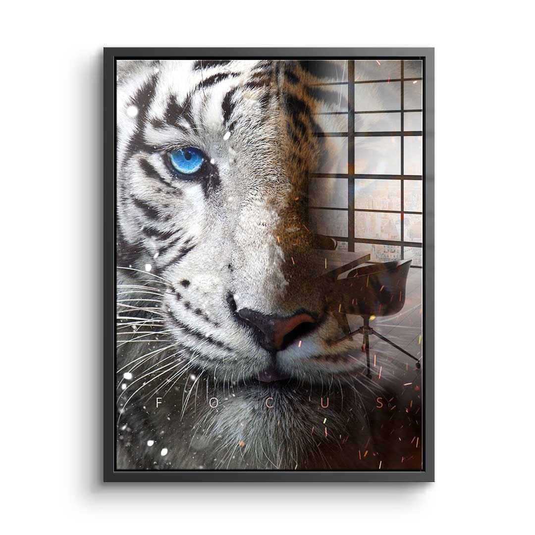 FOCUS FACE - acrylic glass