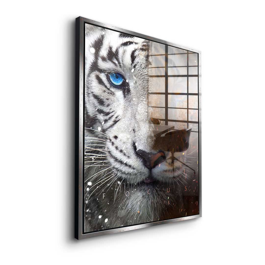 FOCUS FACE - acrylic glass