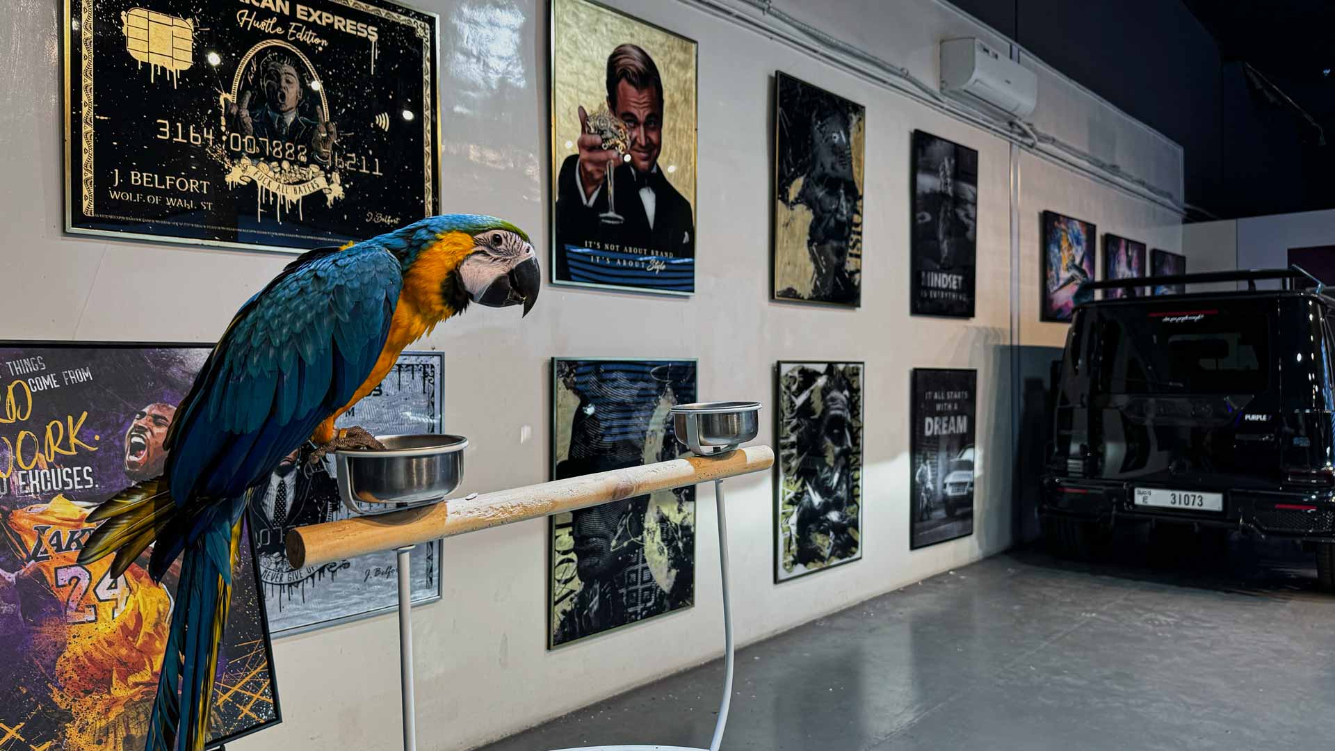 Große Eröffnung des ersten DOTCOMCANVAS Stores in Dubai mit 30 Meister ...