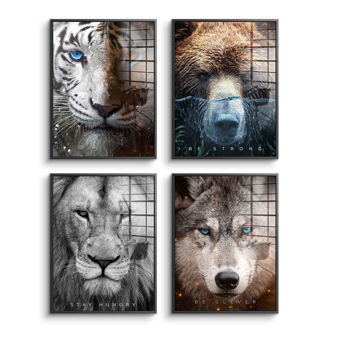 Animal face - Acrylic glass 4x