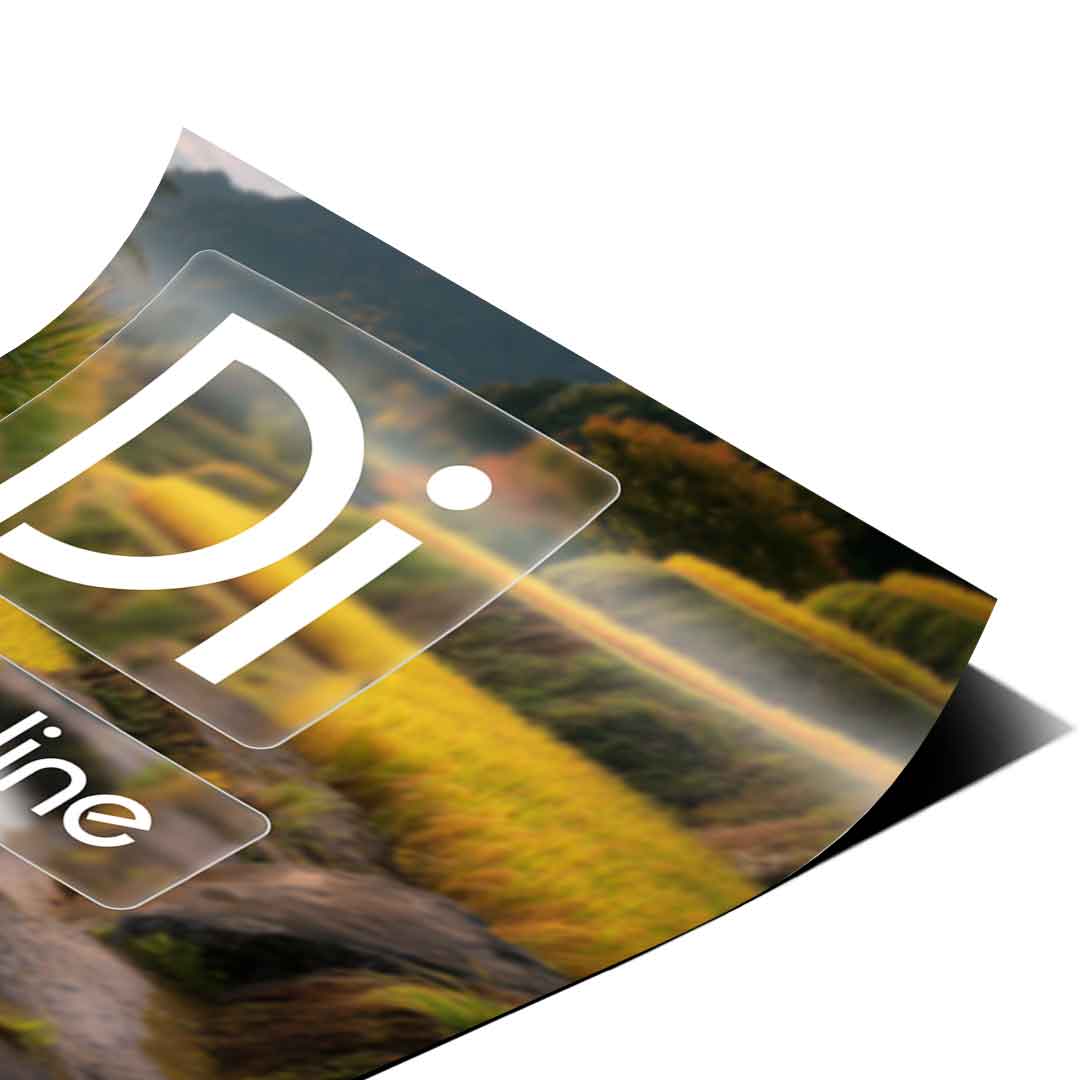 DOTCOMCANVAS® Discipline (Di) Poster Version Farbig – Eck-Detail