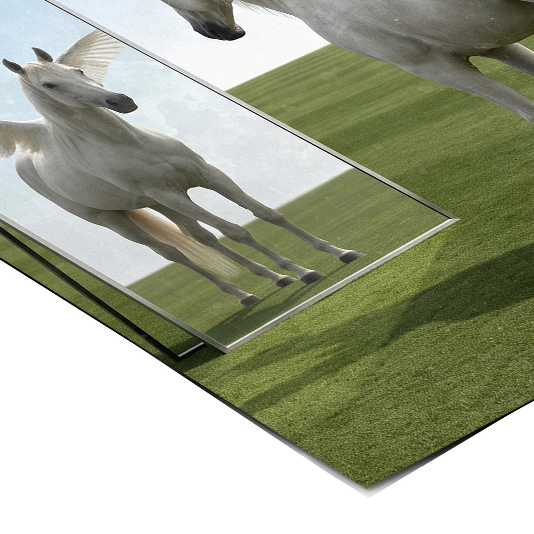 Eckdetail des Posters Mindset Is Everything Pegasus