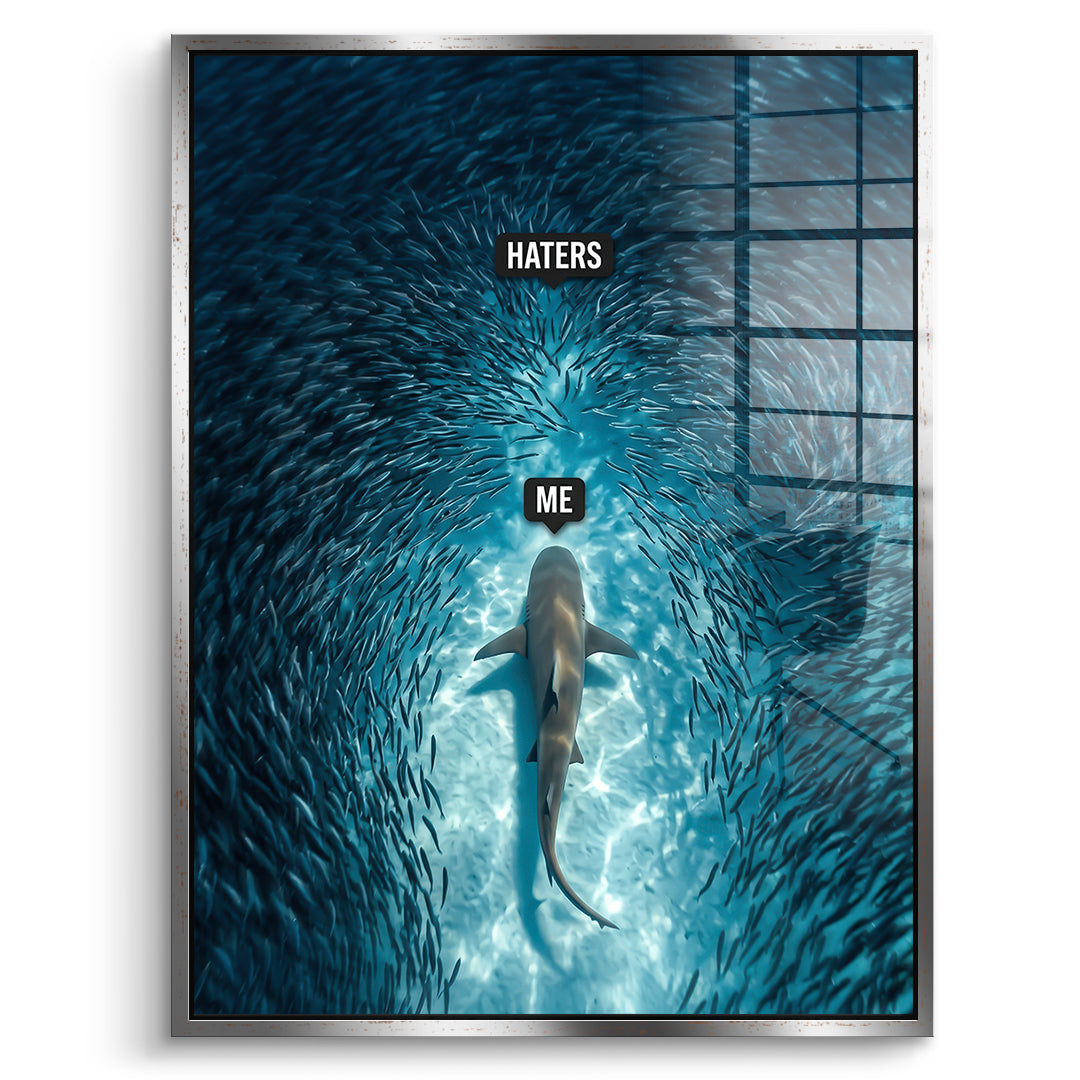 DOTCOMCANVAS Acrylglasbild Me vs Haters im silbernen Premium-Rahmen