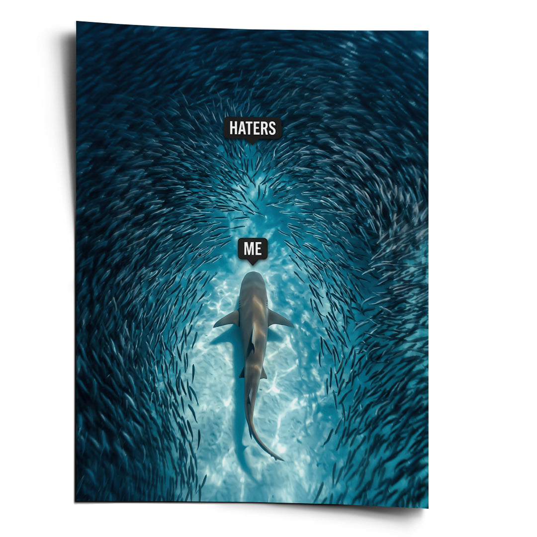 DOTCOMCANVAS Poster Me vs Haters