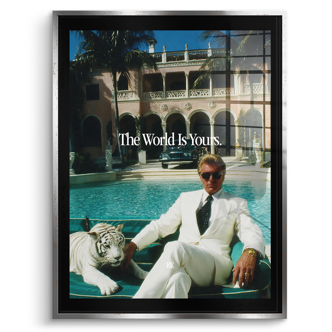 DOTCOMCANVAS Acrylglasbild The World Is Yours Tiger im silbernen Premium-Rahmen
