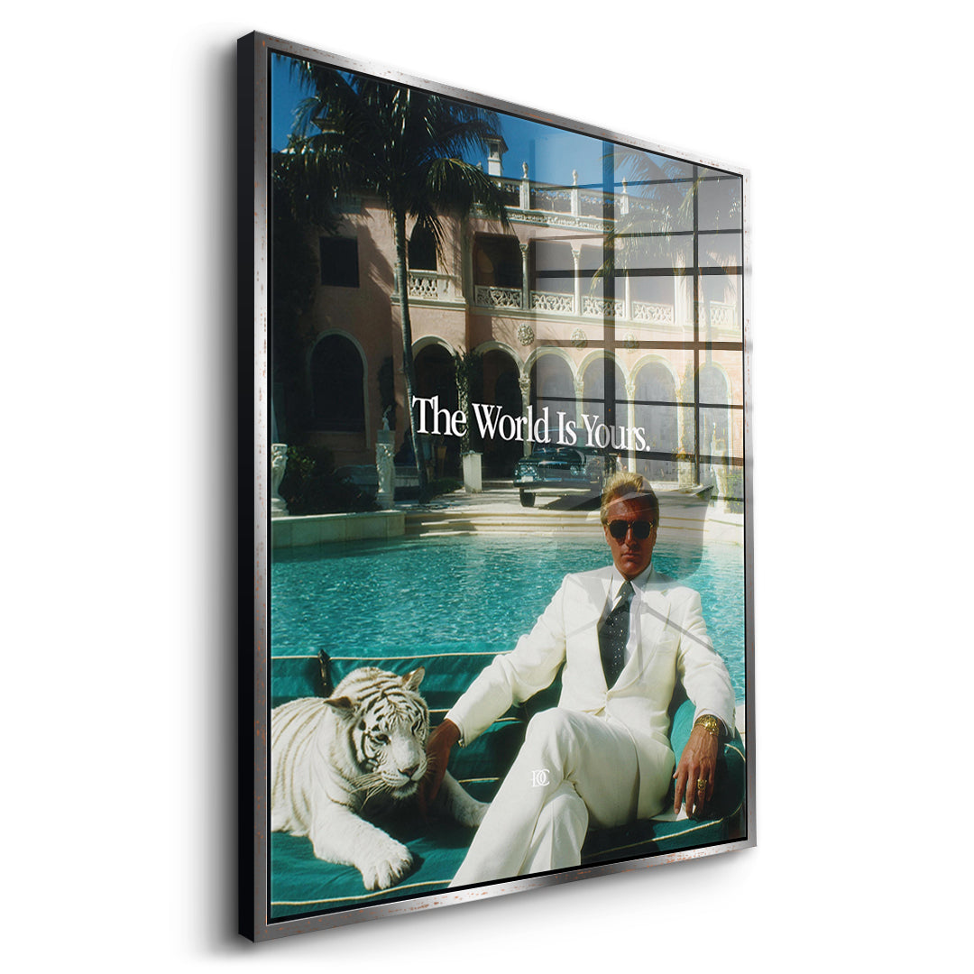 Seitenansicht des Acrylglasbilds The World Is Yours Tiger im silbernen Rahmen
