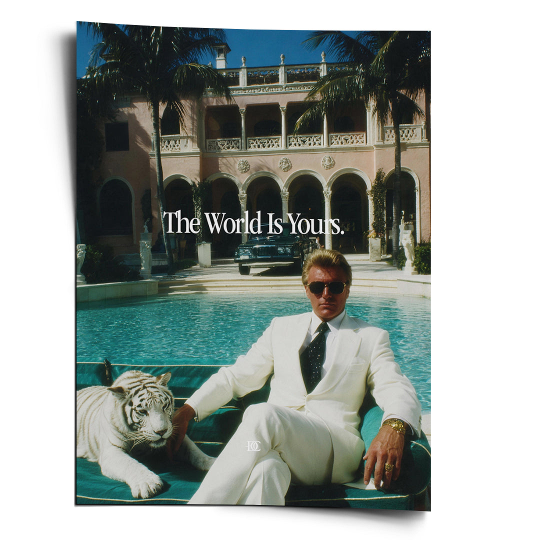 DOTCOMCANVAS Poster The World Is Yours Tiger