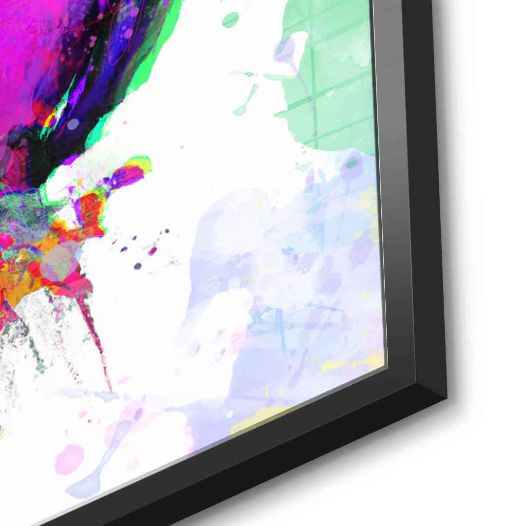 Colorful Parrot - Acrylglas