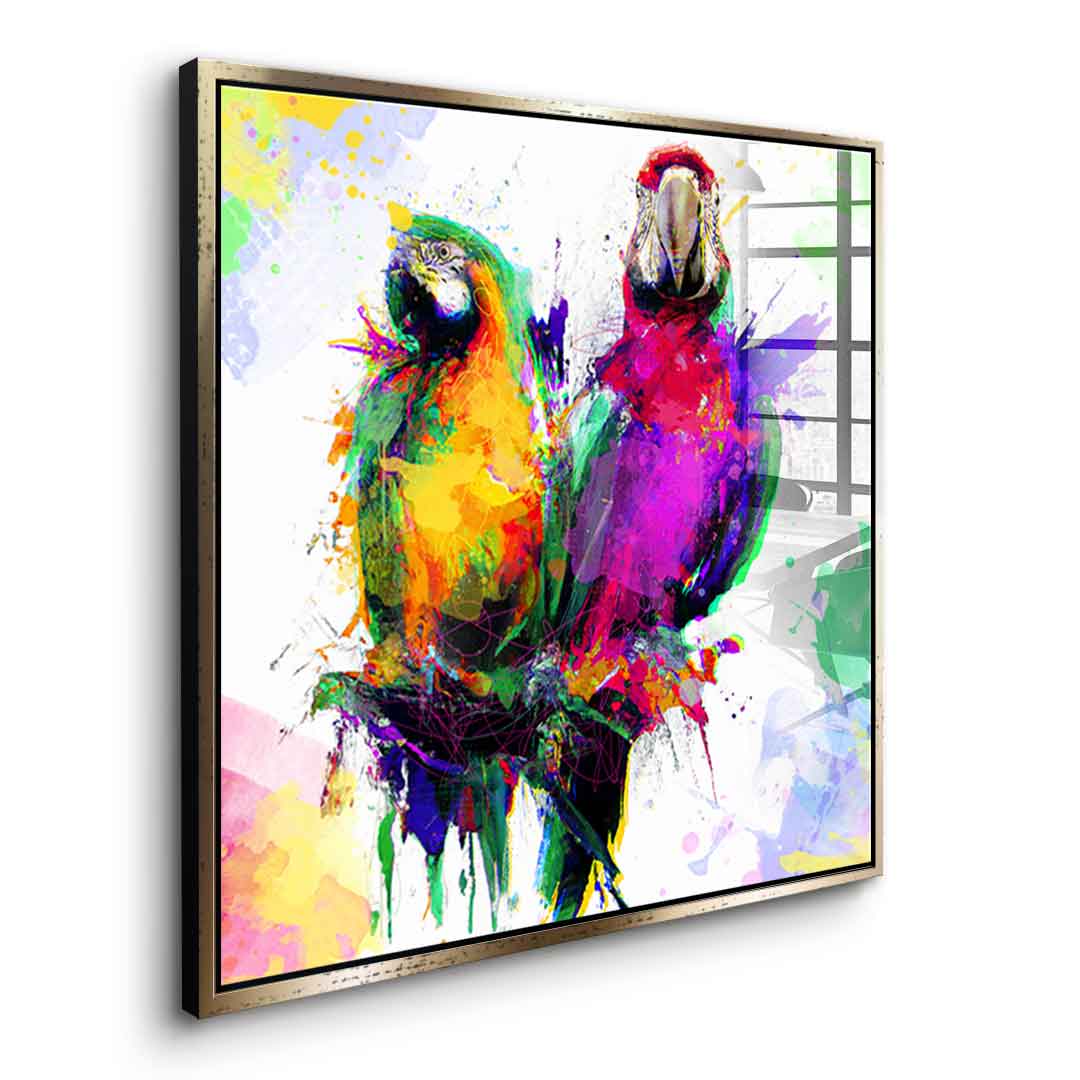 Colorful Parrot - Acrylglas