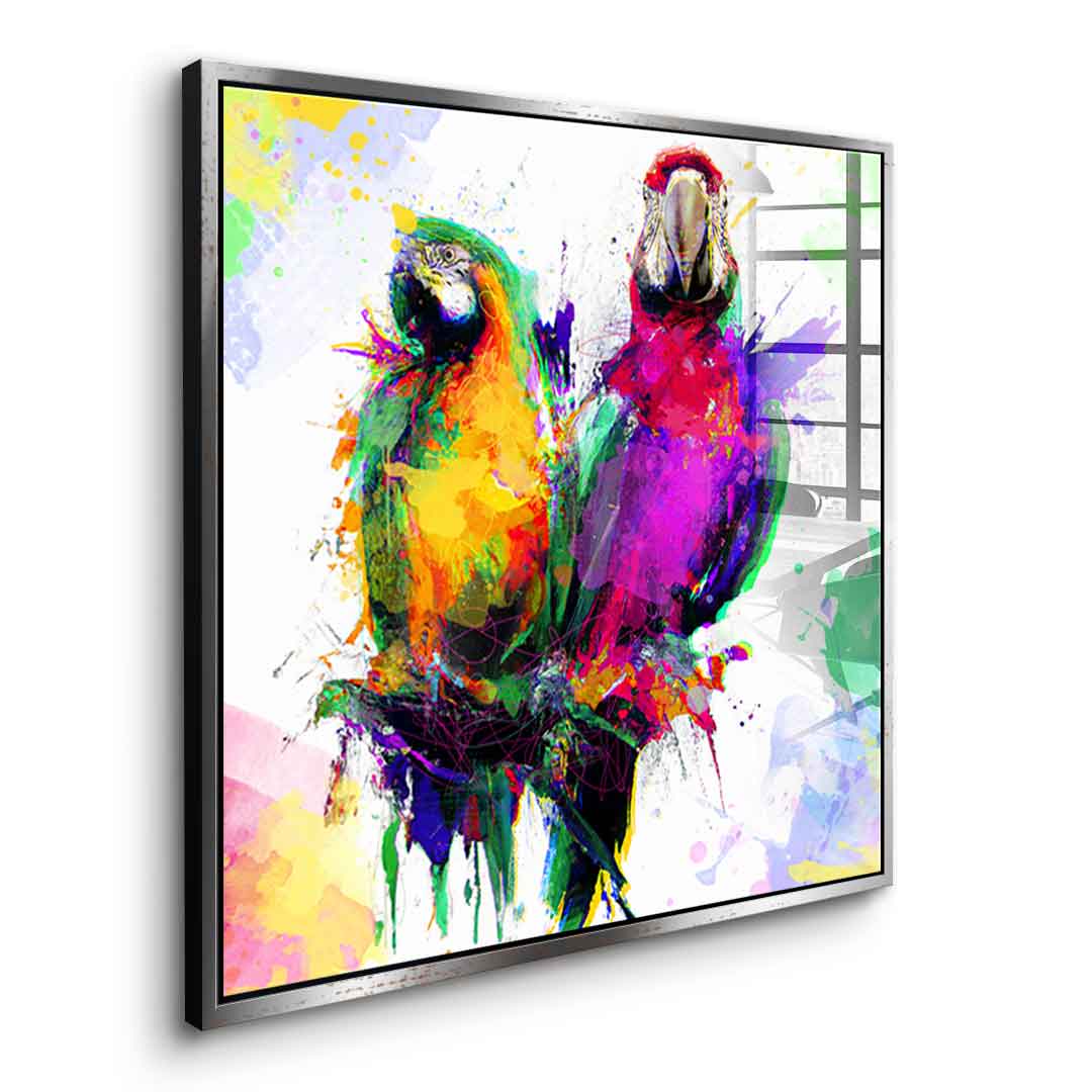 Colorful Parrot - Acrylglas