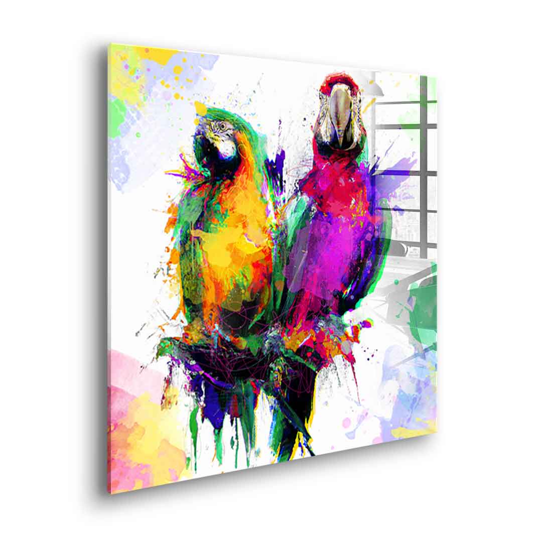 Colorful Parrot - Acrylglas