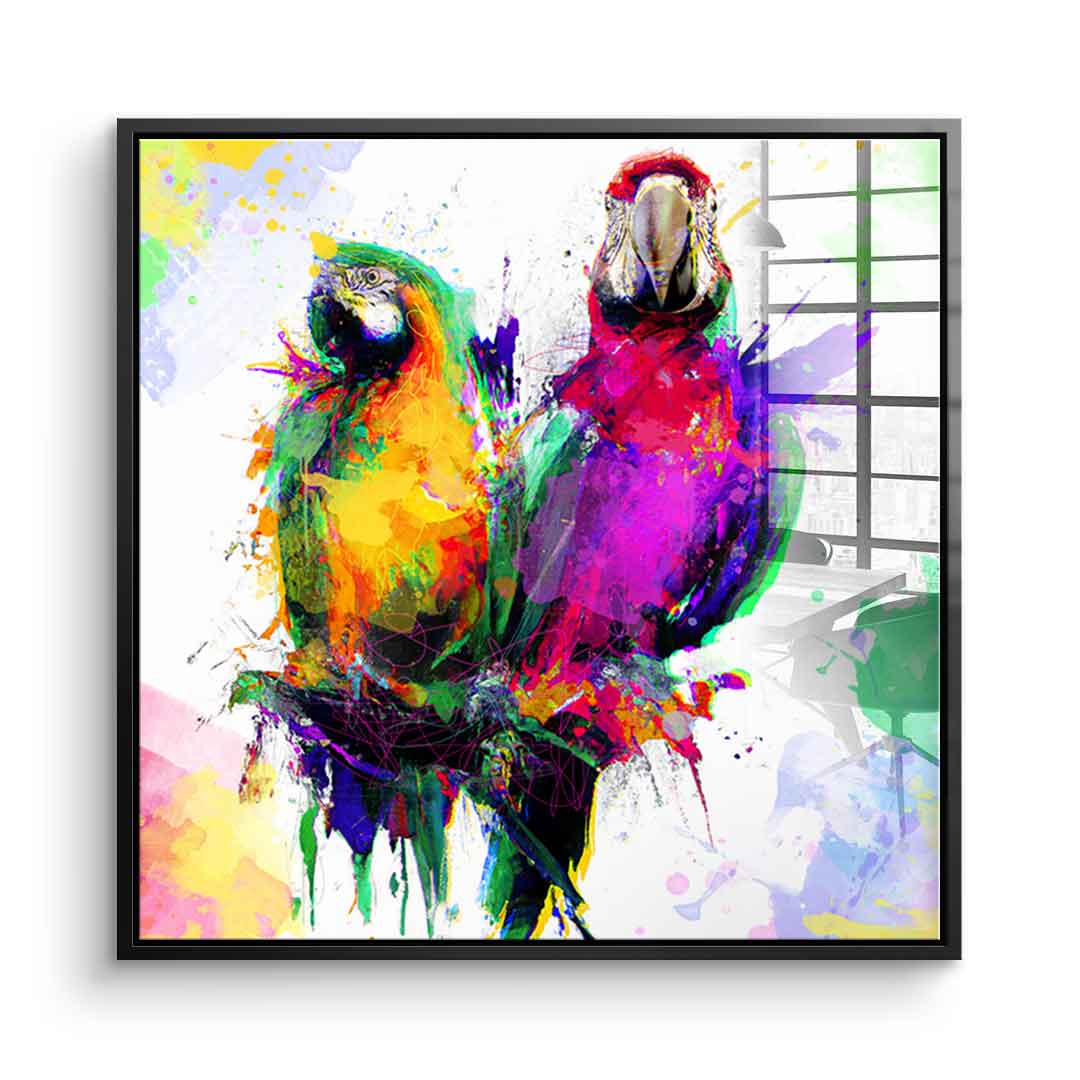 Colorful Parrot - Acrylglas