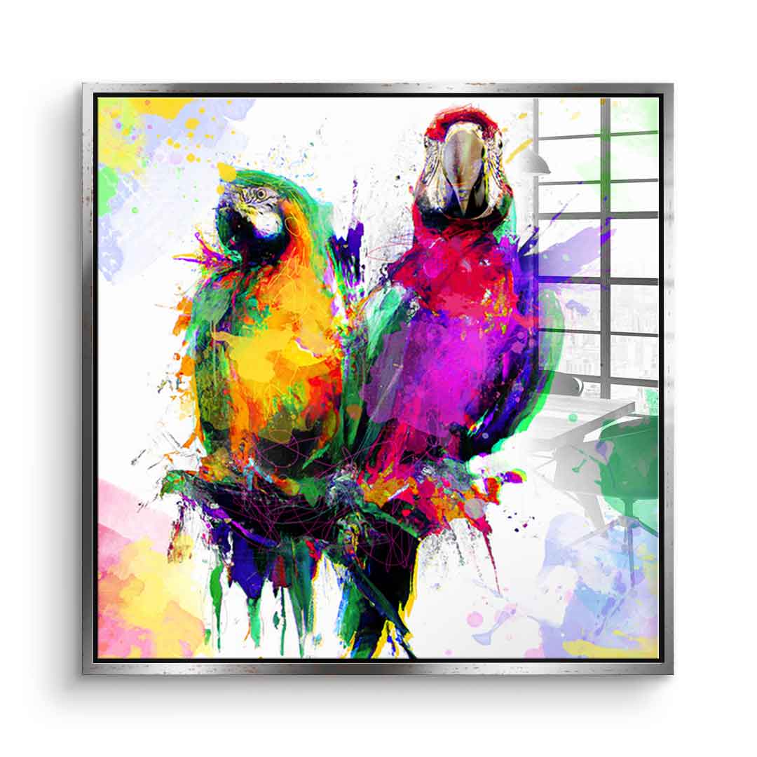 Colorful Parrot - Acrylglas