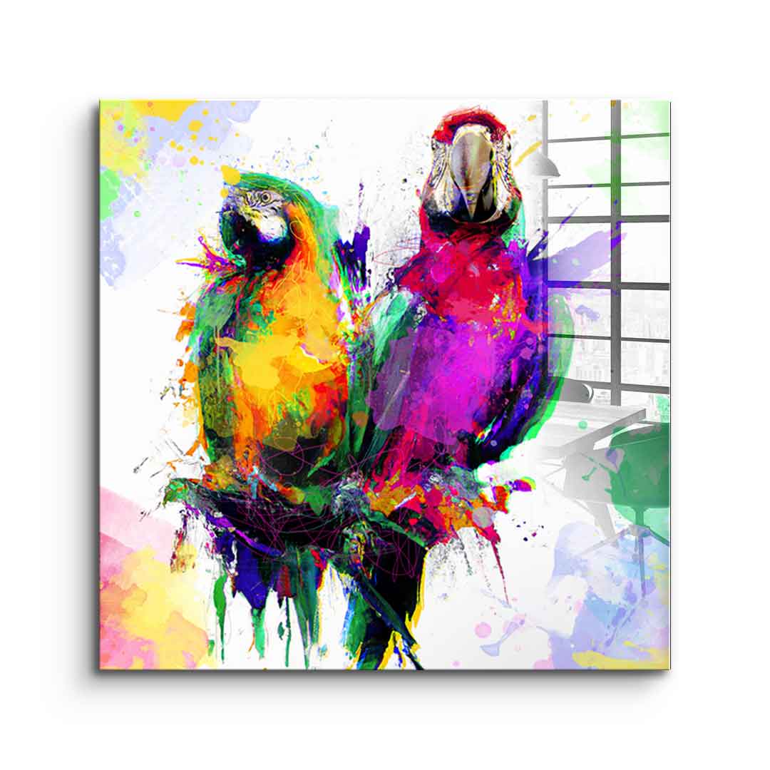 Colorful Parrot - Acrylglas