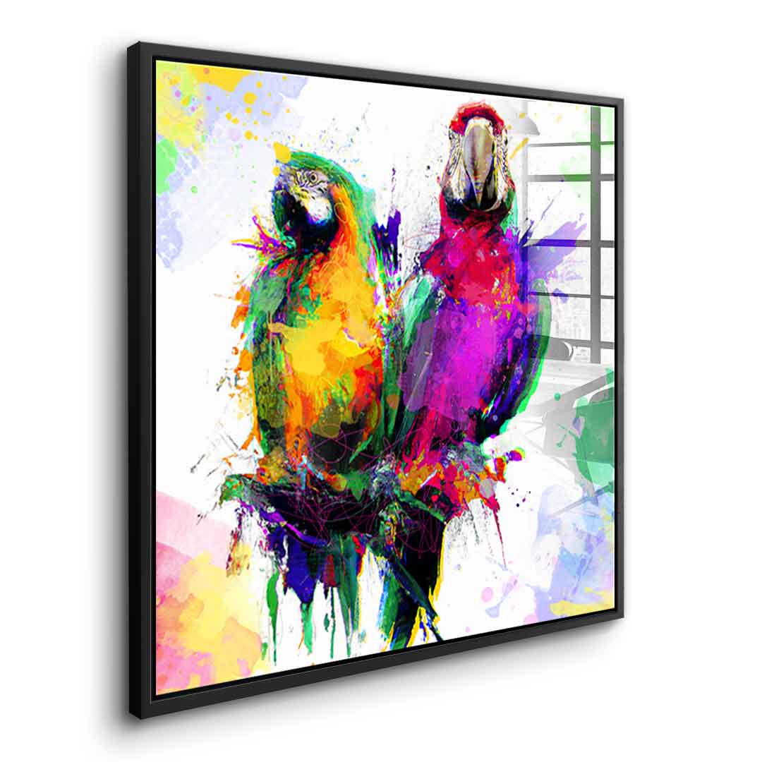 Colorful Parrot - Acrylglas