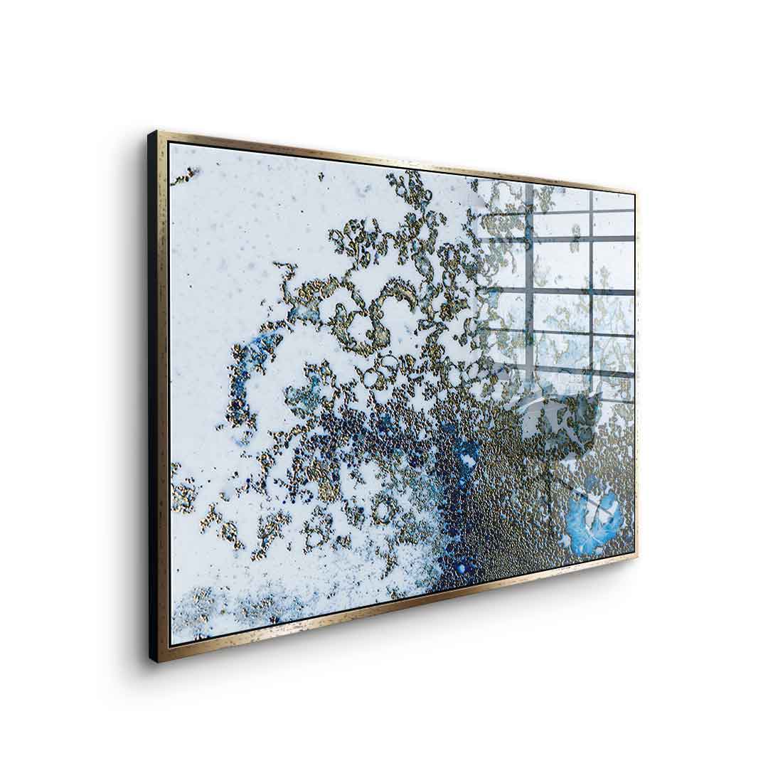 Coral Rising - Acrylglas