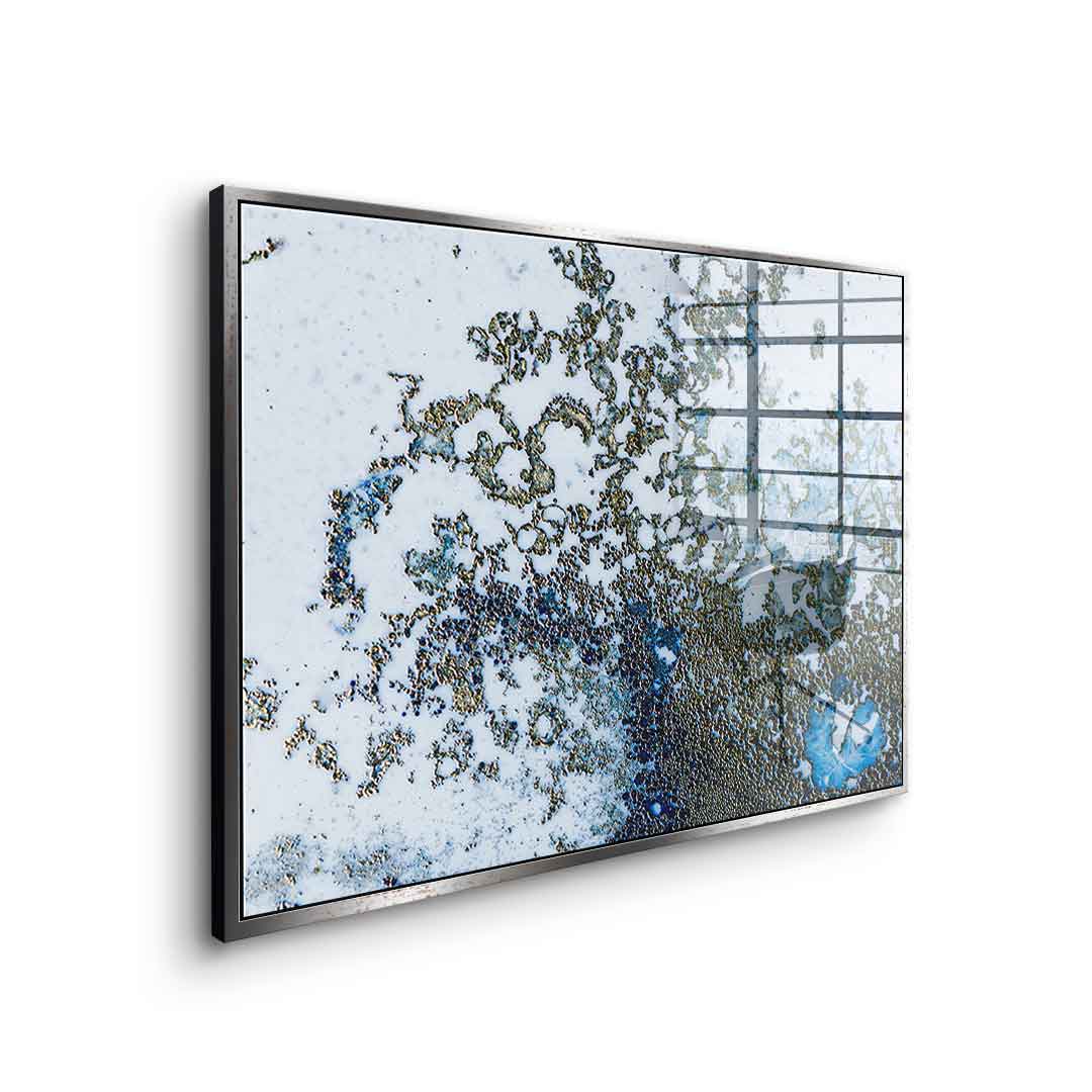 Coral Rising - Acrylglas