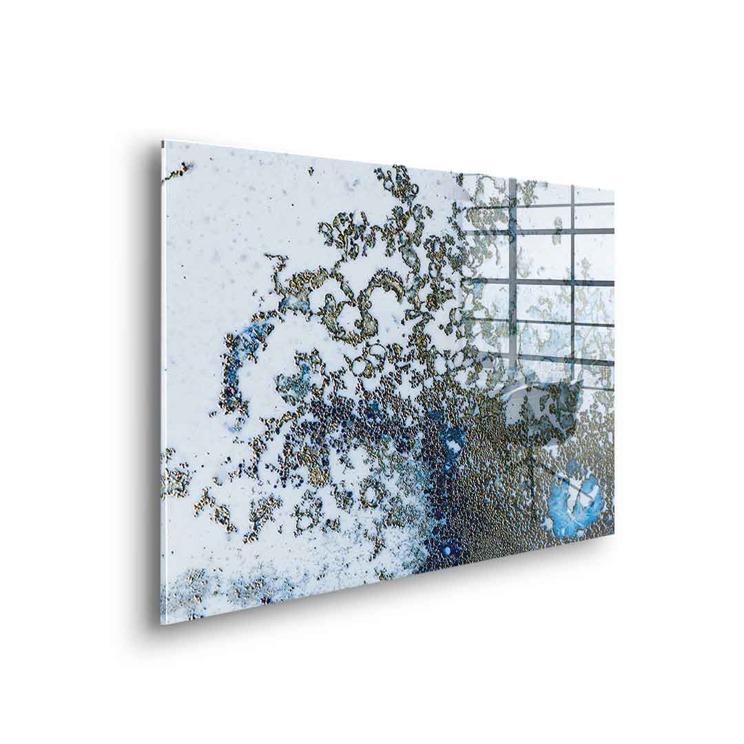 Coral Rising - Acrylglas