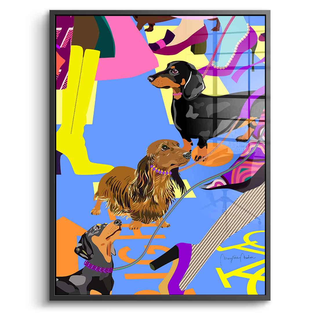 Dachshund Fashion - Acrylglas