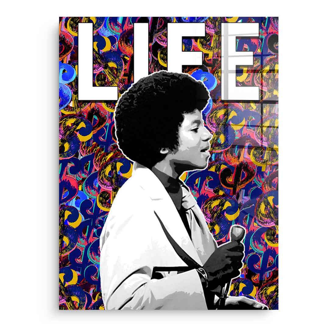 Fund with dollars - Acrylic glass