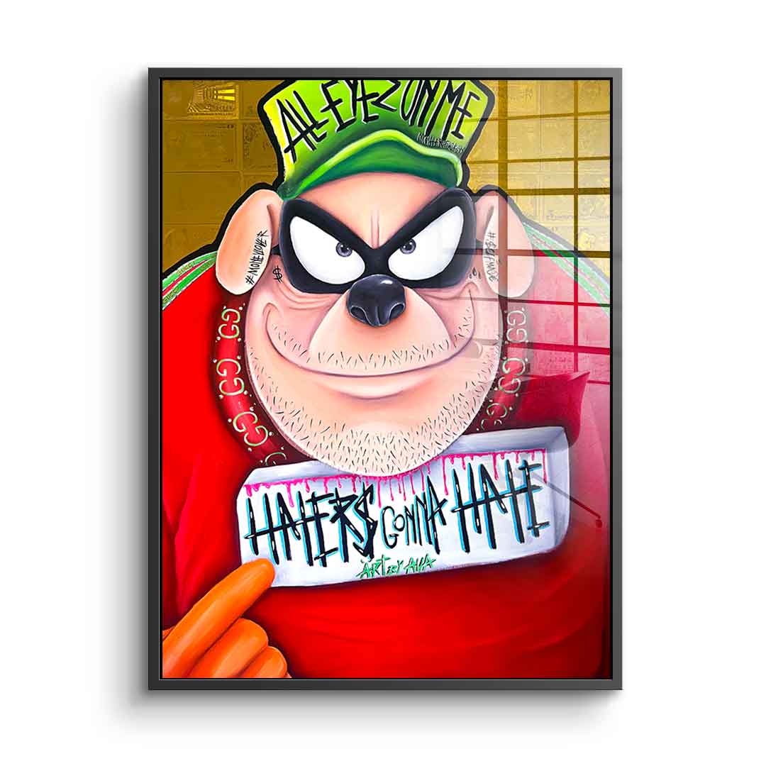 Haters gonna hate - Acrylglas