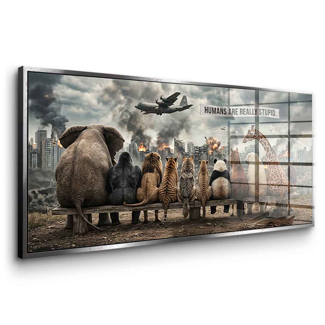 Humans are Really Stupid - Acrylglas