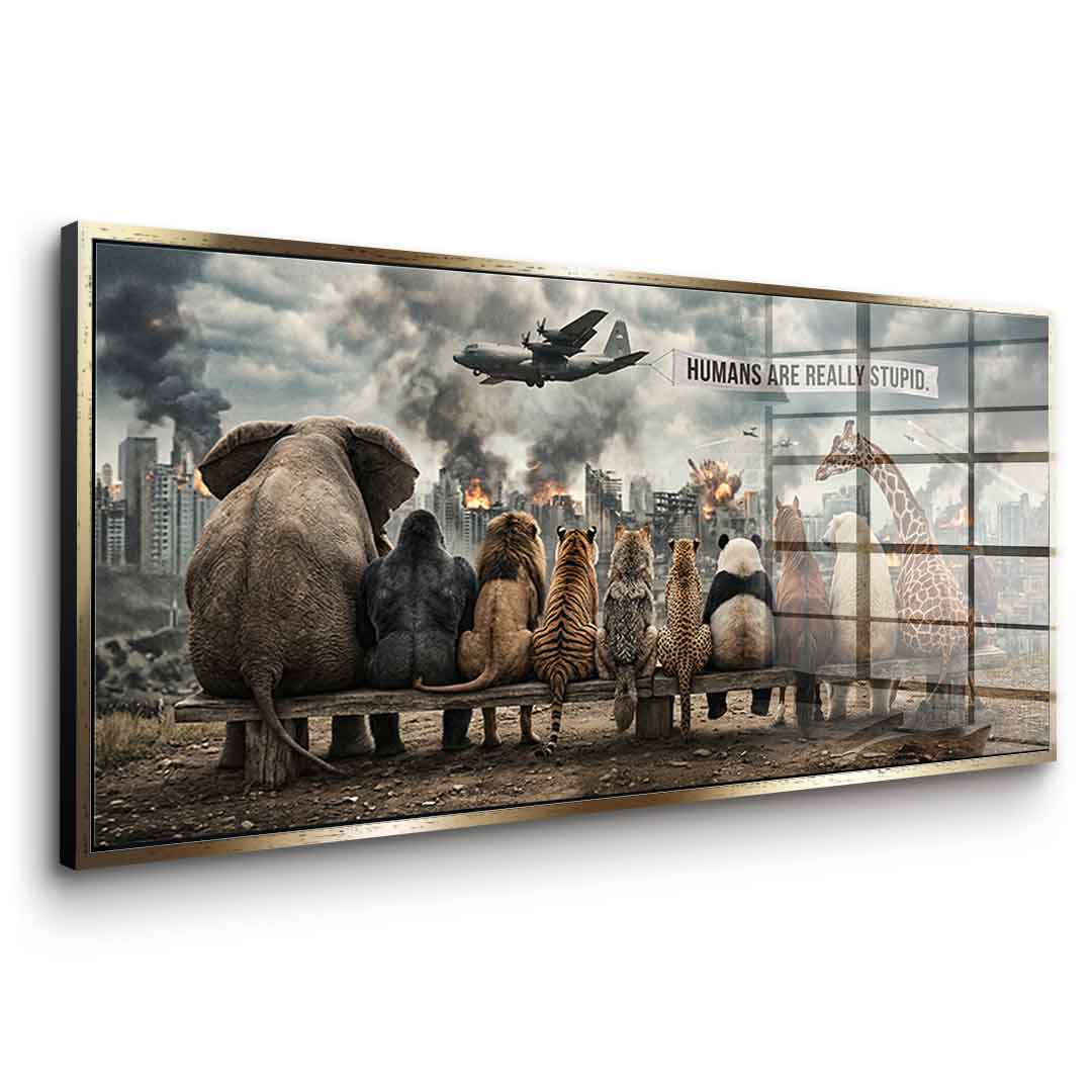 Humans are Really Stupid - Acrylglas