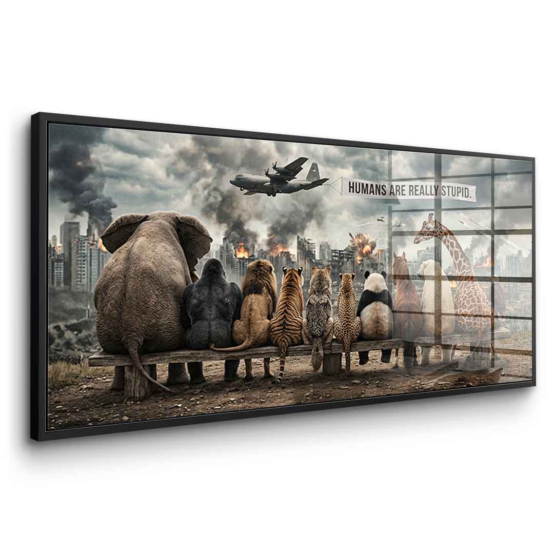 Humans are Really Stupid - Acrylglas