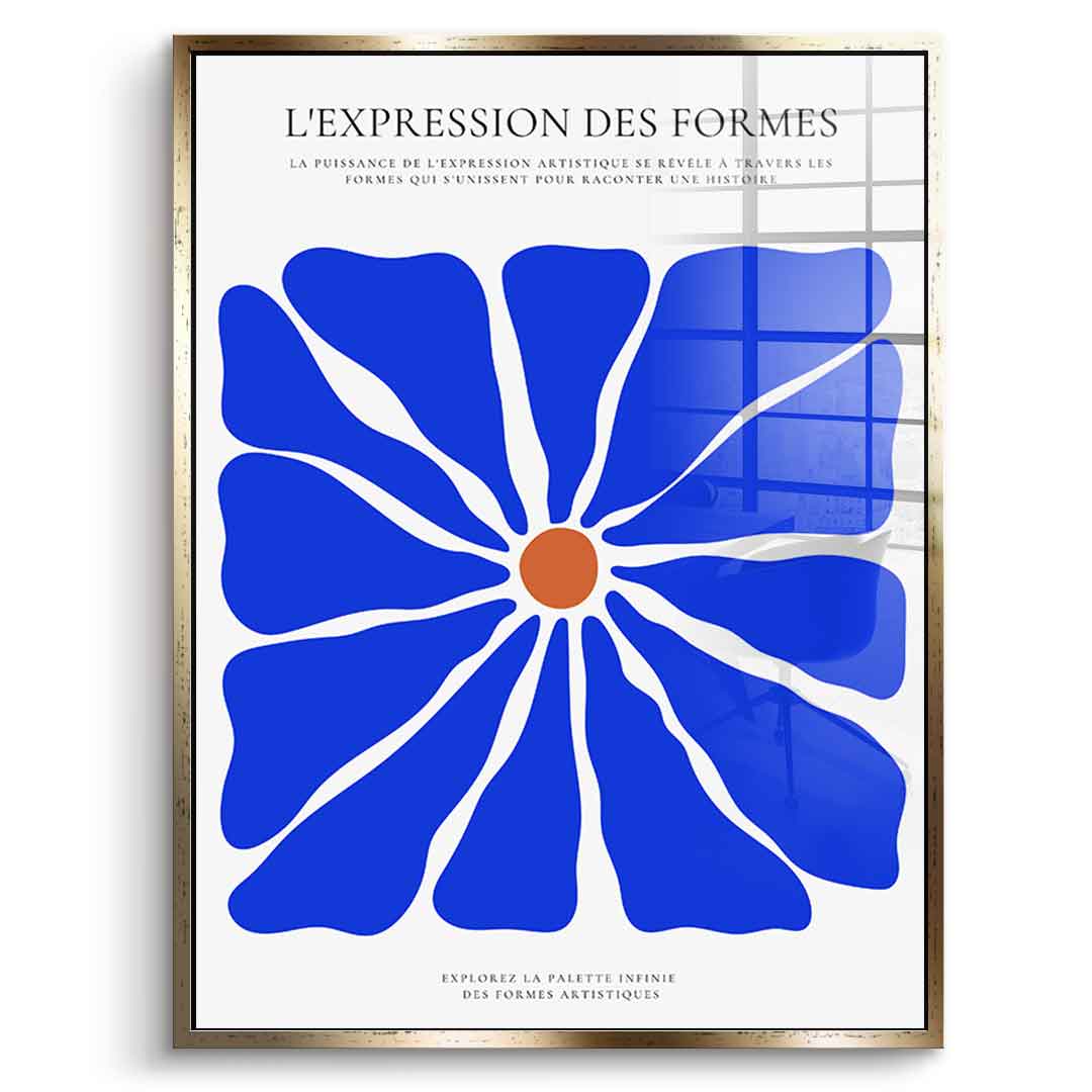 L'Expression des forms - acrylic glass