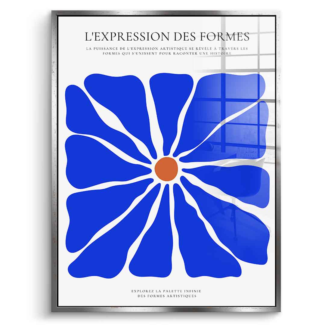 L'Expression des forms - acrylic glass