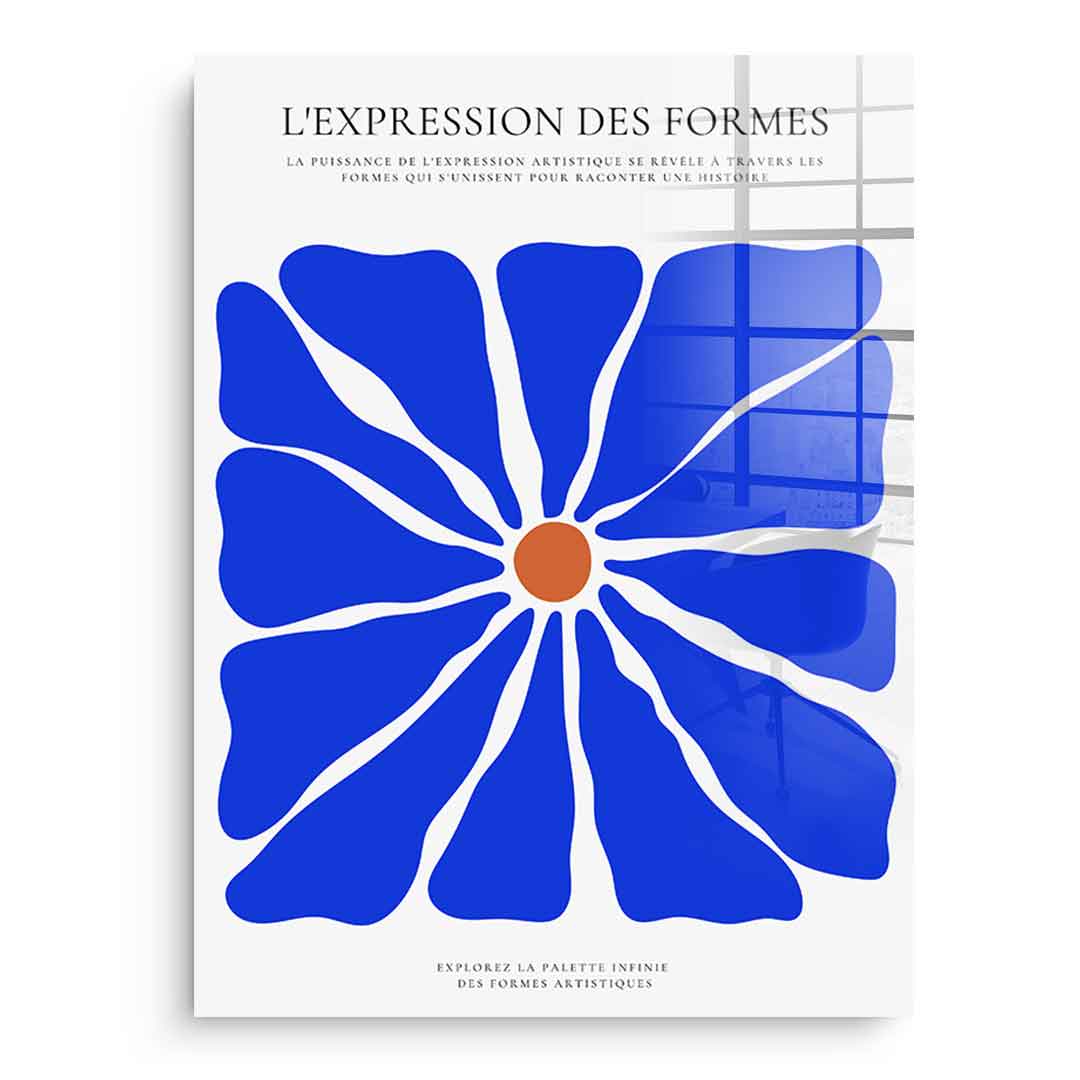 L'Expression des forms - acrylic glass