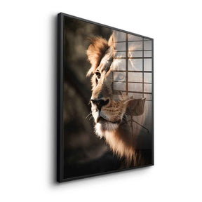 Lion - Acrylglas