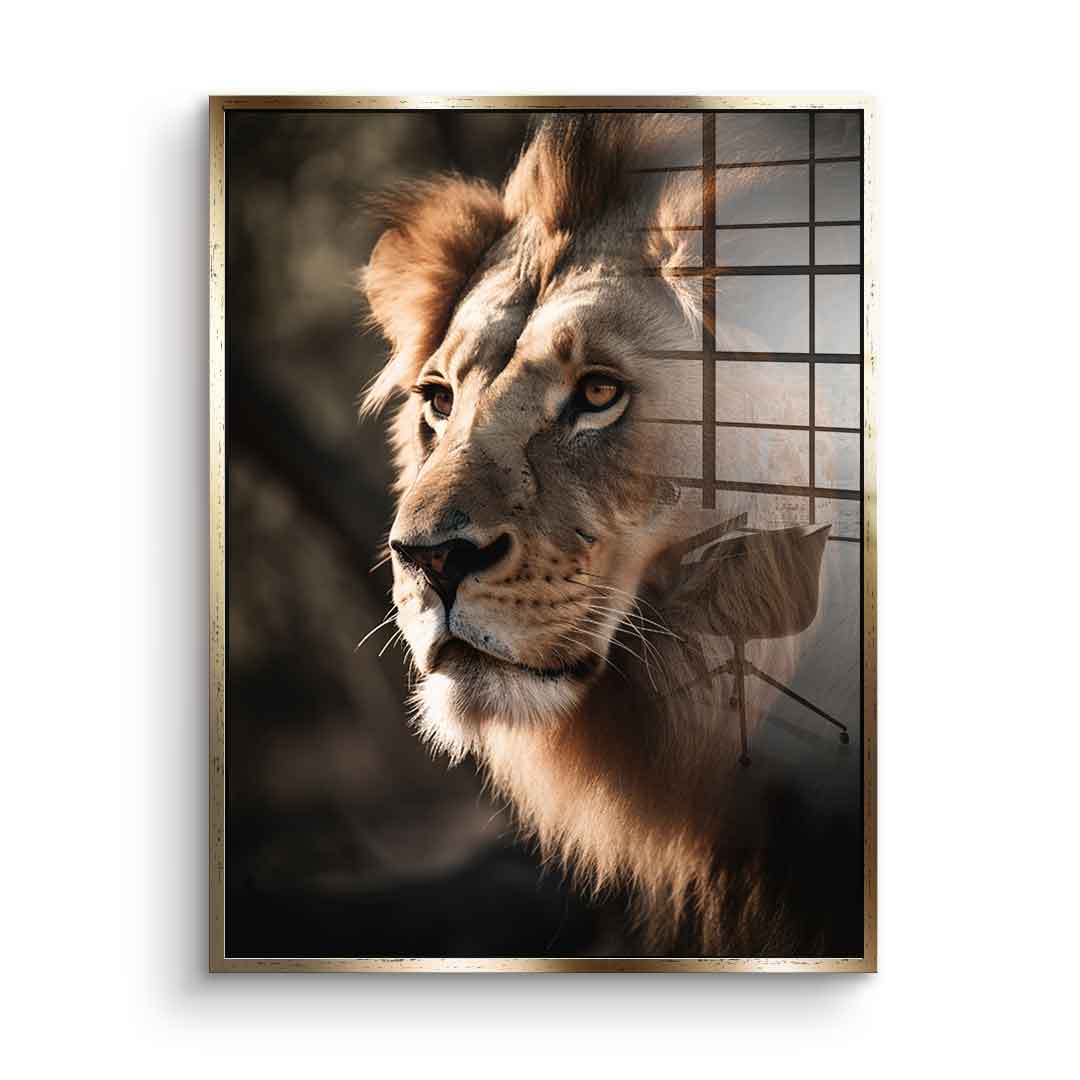 Lion - Acrylic glass