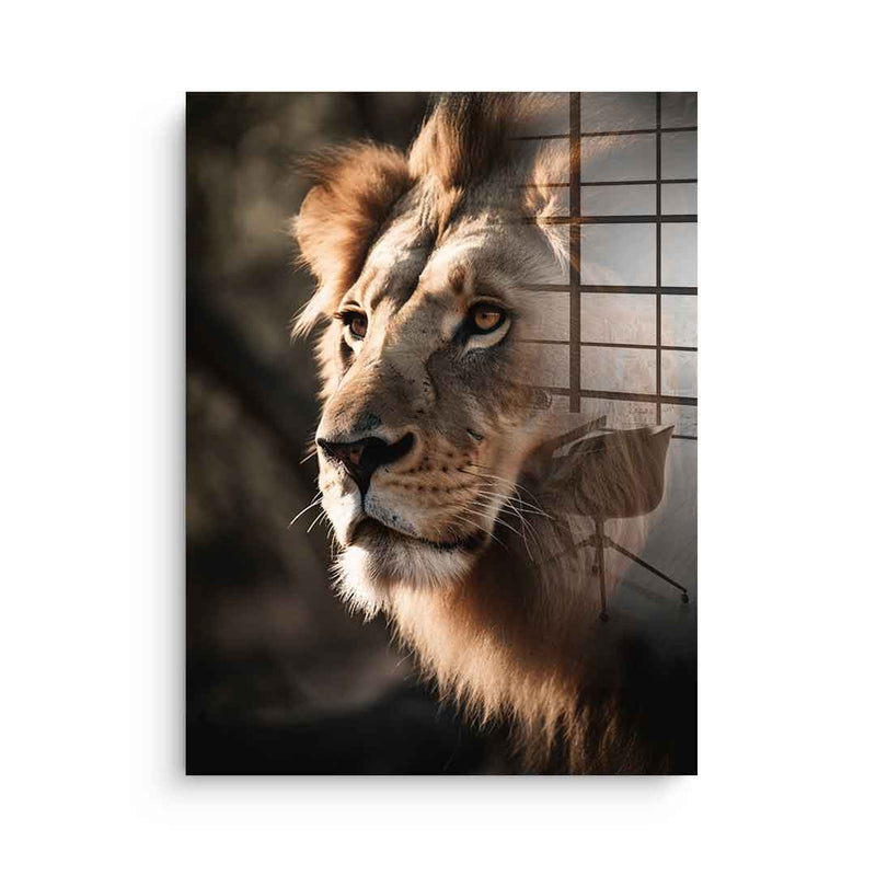 Lion - acrylic glass