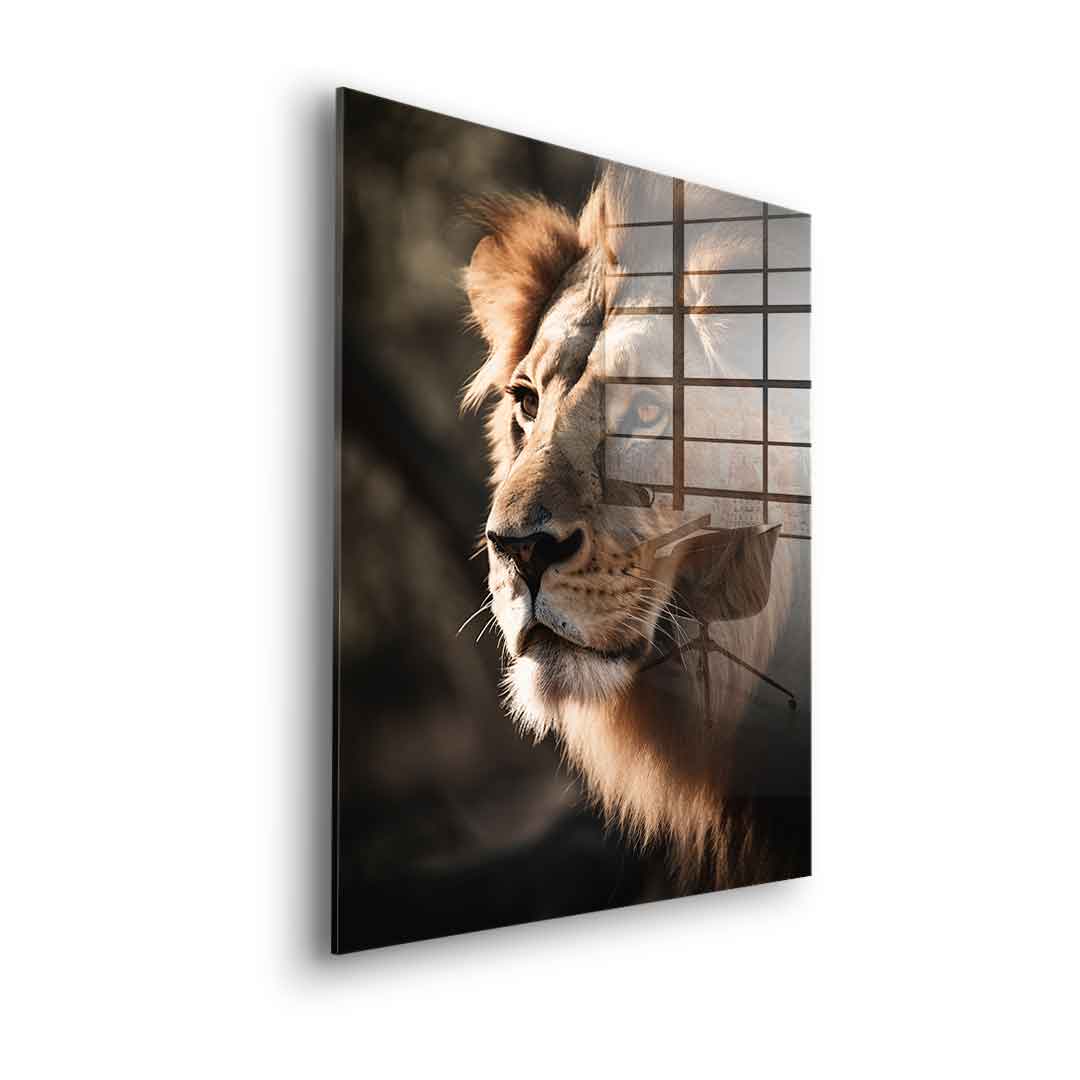 Lion - acrylic