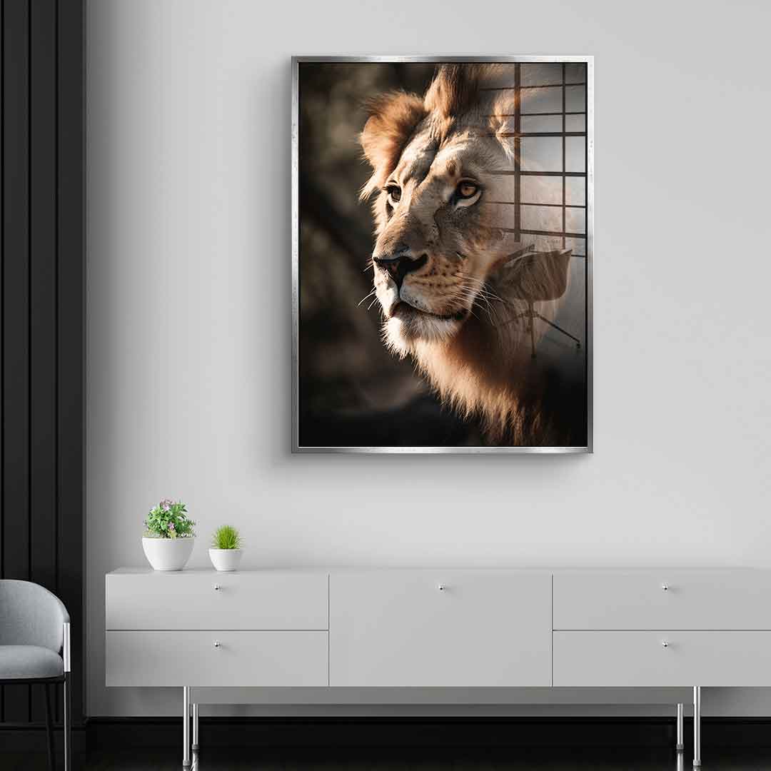Lion - Acrylglas