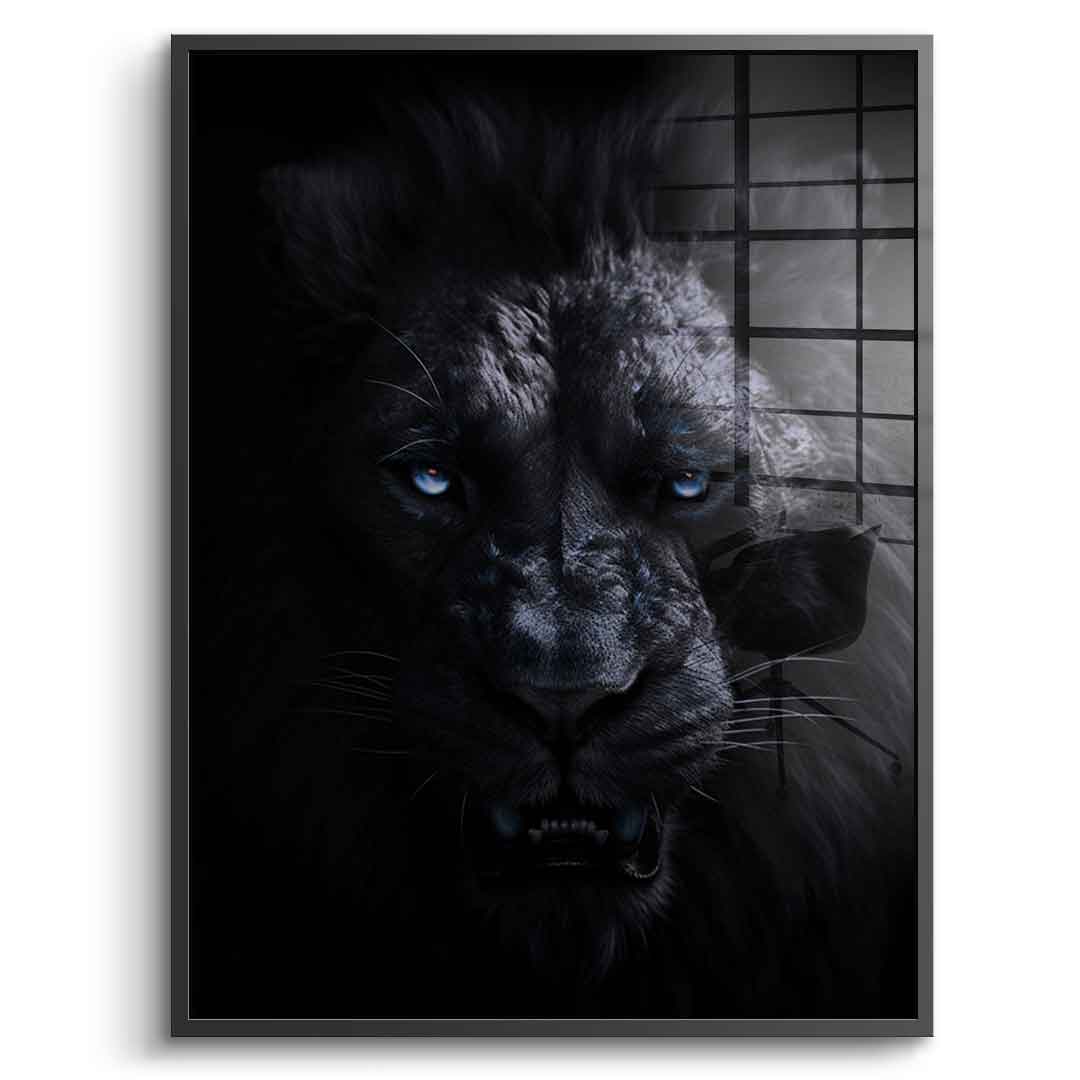 Lion - Acrylic glass