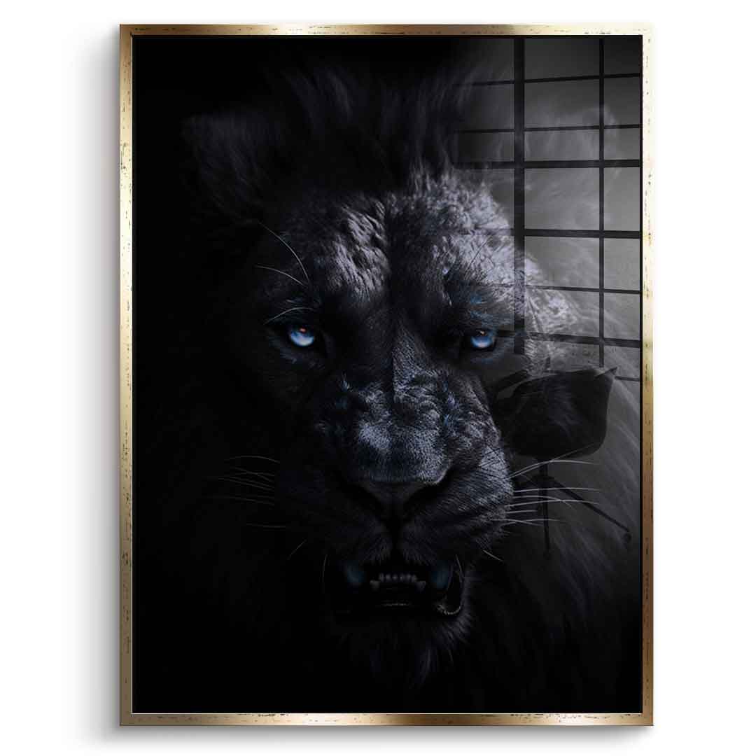 Lion - Acrylic glass