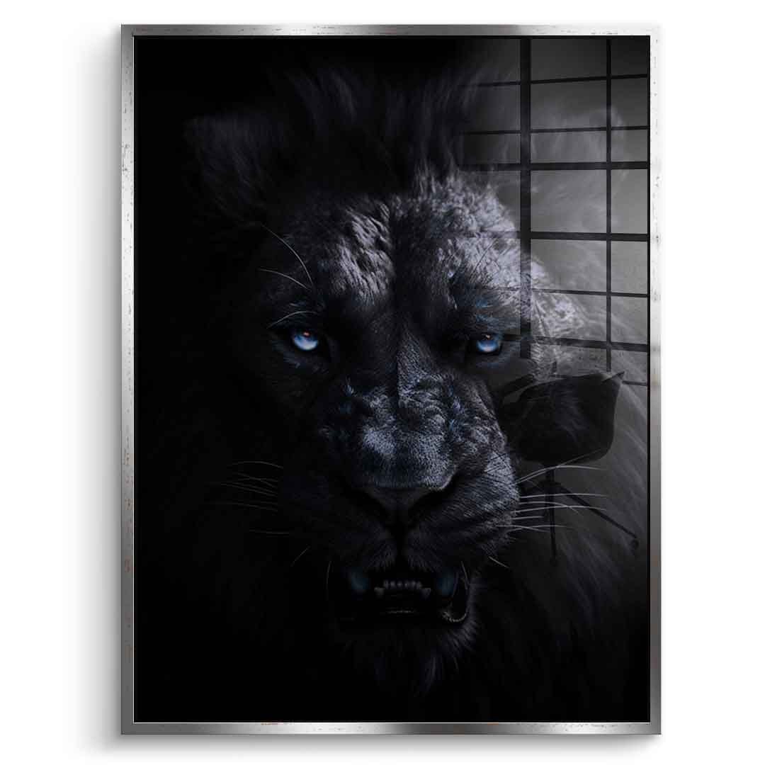 Lion - Acrylic glass