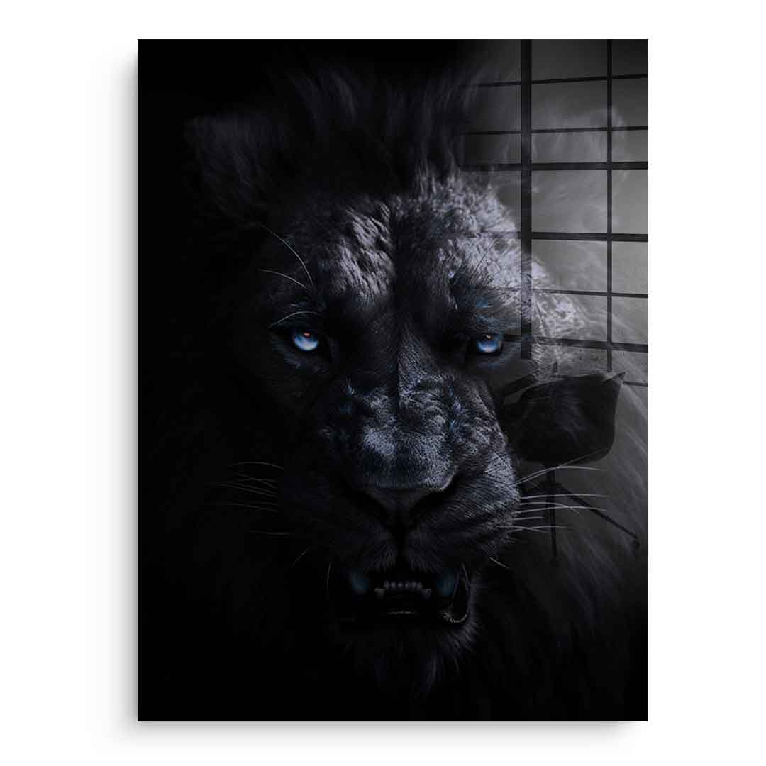 Lion - Acrylic glass