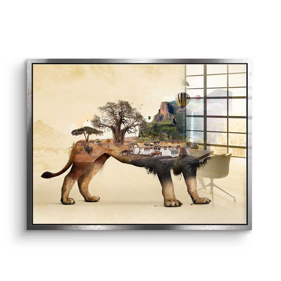 The Lion's Life - Acrylic Glass