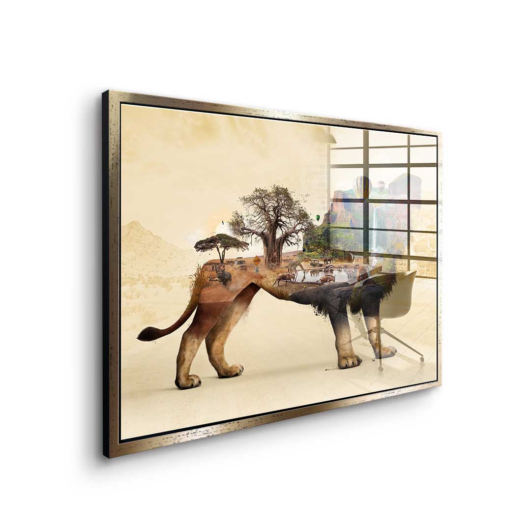 The Lion's Life - Acrylic Glass